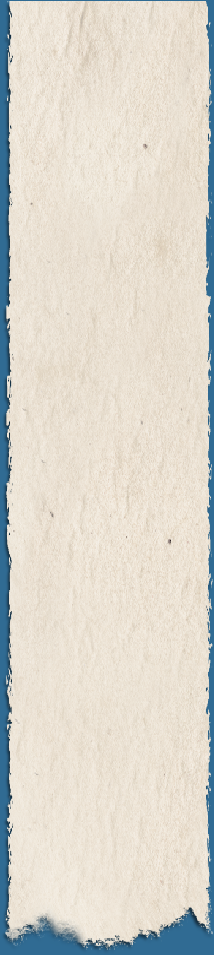 pp242955bd.png