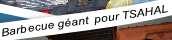 pp8b2dec08.png